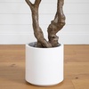 image:imageNearly Natural 6ft Artificial Grand Olive Tree in White Decorative Planter