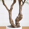 image:imageNearly Natural 6ft Artificial Grand Olive Tree in White Decorative Planter