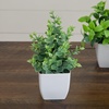 image:imageNearly Natural 8 in Artificial Mini Potted Plants Set of 4