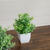 image:imageNearly Natural 8 in Artificial Mini Potted Plants Set of 4