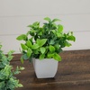 image:imageNearly Natural 8 in Artificial Mini Potted Plants Set of 4