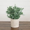 image:imageNearly Natural 8 in Artificial Mixed Eucalyptus Plant Planter Set of 32