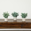 image:imageNearly Natural 8 in Artificial Mixed Eucalyptus Plant Planter Set of 33