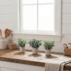 image:imageNearly Natural 8 in Artificial Mixed Eucalyptus Plant Planter Set of 33