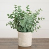 image:imageNearly Natural 8 in Artificial Mixed Eucalyptus Plant Planter Set of 33