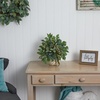 image:imageNearly Natural Mixed Ficus Fittonia and Berries Artificial Plant in Floral Vase