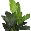 image:imageNearly Natural Travelers Palm Artificial Silk Trees Green 14D x14W x7 Ft