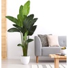 image:imageNearly Natural Travelers Palm Artificial Silk Trees Green 14D x14W x7 Ft
