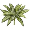 image:imageNearly Natural 10in Variegated Silver Queen Artificial Plant Set of 6