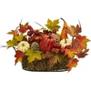 image:imageNearly Natural 17 Fall Harvest Pumpkins and Berries Artificial Arrangement