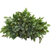 image:imageNearly Natural 20in Mixed Ficus and Fittonia Artificial Ledge Plant