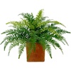 image:imageNearly Natural 22in Artificial Fern Plant in Decorative Planter