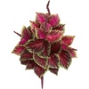 image:imageNearly Natural 23 Coleus Bush Artificial Set of 6 Silk Plants Pink