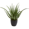 image:imageNearly Natural 26 in Artificial Aloe Plant with Pot Room Decor