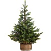 image:imageNearly Natural 3ft Artificial Balsam Fir Christmas Tree with Pine Cones in Jute Wire Planter