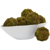 image:imageNearly Natural 4in Sedum Artificial Succulent Artificial Spheres Set of 6