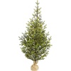 image:imageNearly Natural 5ft PreLit Fraser Fir Artificial Christmas Tree 200 LEDs