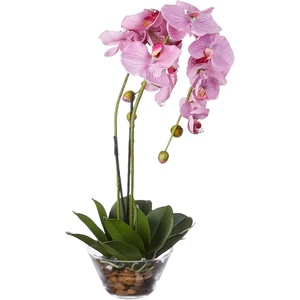 image:imageNearly Natural 4643WH Phalaenopsis with Glass Vase Decorative Silk Flower Arrangement White 29 x 1025 x 1025Purple