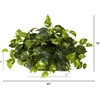 image:imageNearly Natural 15in Pothos Ledge Plant Set on Foam Silk PlantGreen