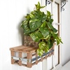 image:imageNearly Natural 15in Pothos Ledge Plant Set on Foam Silk PlantGreen