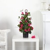image:imageNearly Natural 24 in Artificial Bougainvillea Climbing Plant Room Decor