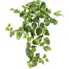 image:imageNearly Natural 40in Pothos Hanging Bush Set of 3Green