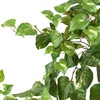 image:imageNearly Natural 40in Pothos Hanging Bush Set of 3Green