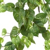image:imageNearly Natural 40in Pothos Hanging Bush Set of 3Green