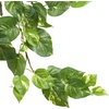 image:imageNearly Natural 40in Pothos Hanging Bush Set of 3Green