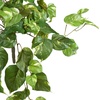 image:imageNearly Natural 40in Pothos Hanging Bush Set of 3Green