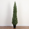 image:imageNearly Natural 7ft UVResistant Artificial Boxwood Topiary Tree  Lifelike Faux Greenery for Indoor and Outdoor Decor Includes Nursery Planter Perfect for Home Office or Outdoor Covered Patio Use