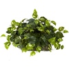 image:imageNearly Natural 15in Pothos Ledge Plant Set on Foam Silk PlantGreen