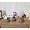 image:imageNearly Natural 4208S3 9 Phalaenopsis Orchid Artificial Arrangement in Vase Set of 3 9 Phalaenopsis Orchid Arrangement in Vase MultiColorMultiColor