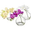image:imageNearly Natural 4208S3 9 Phalaenopsis Orchid Artificial Arrangement in Vase Set of 3 9 Phalaenopsis Orchid Arrangement in Vase MultiColorMultiColor