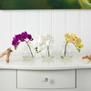 image:imageNearly Natural 4208S3 9 Phalaenopsis Orchid Artificial Arrangement in Vase Set of 3 9 Phalaenopsis Orchid Arrangement in Vase MultiColorMultiColor
