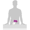 image:imageNearly Natural 4208S3 9 Phalaenopsis Orchid Artificial Arrangement in Vase Set of 3 9 Phalaenopsis Orchid Arrangement in Vase MultiColorMultiColor