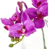 image:imageNearly Natural 4208S3 9 Phalaenopsis Orchid Artificial Arrangement in Vase Set of 3 9 Phalaenopsis Orchid Arrangement in Vase MultiColorMultiColor