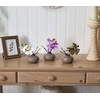 image:imageNearly Natural 4208S3 9 Phalaenopsis Orchid Artificial Arrangement in Vase Set of 3 9 Phalaenopsis Orchid Arrangement in Vase MultiColorMultiColor