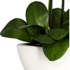 image:imageNearly Natural Artificial Phalaenopsis Orchid Arrangement with Bowl Vase