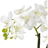 image:imageNearly Natural Artificial Phalaenopsis Orchid Arrangement with Bowl Vase