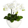 image:imageNearly Natural Artificial Phalaenopsis Orchid Arrangement with Bowl Vase