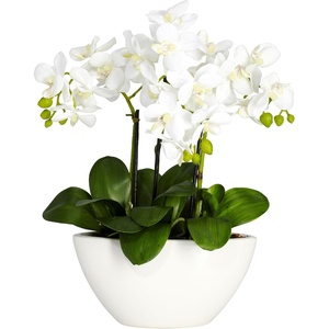 image:imageNearly Natural Artificial Phalaenopsis Orchid Arrangement with Bowl Vase