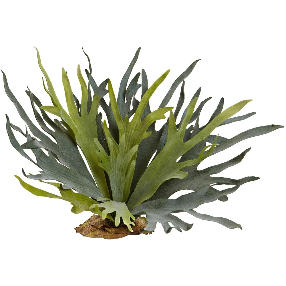 image:imageNearly Natural 21 in Artificial Staghorn Fern Set of 2 Hanging Room Decor