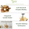 image:imageNearly Natural 12 Fall Harvest Pumpkin amp Berries Candelabrum Centerpiece
