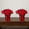 image:imageNearly Natural 13in Red Artificial Poinsettia in Planter Set of 2Red