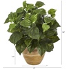 image:imageNearly Natural 14in Pothos Artificial Plant in Ceramic Planter