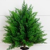 image:imageNearly Natural 15 in UVResistant Artificial Cedar Bush Set of 219 in
