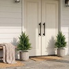 image:imageNearly Natural 15 in UVResistant Artificial Cedar Bush Set of 222 in