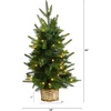 image:imageNearly Natural 2ft Artificial Christmas Tree with 35 Clear LED Lights in Decorative Basket