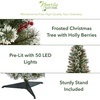 image:imageNearly Natural 3 Frosted Swiss Pine Prelit Artificial Christmas Tree